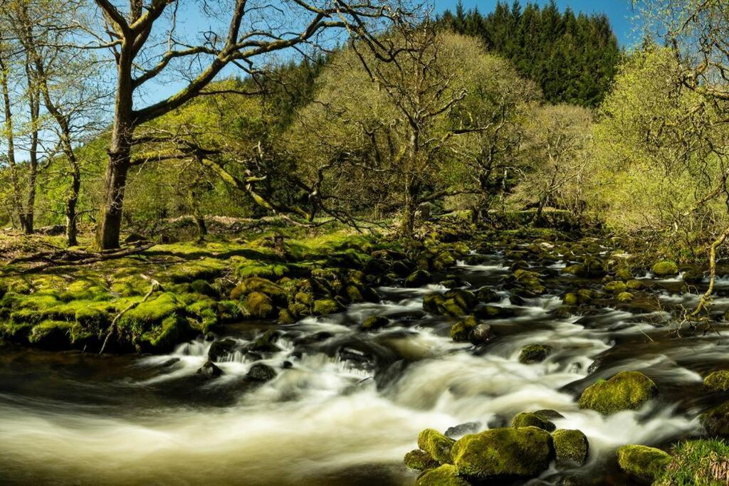 Charming Riverside Cottage In Snowdonia National Park Tanygrisiau Extérieur photo
