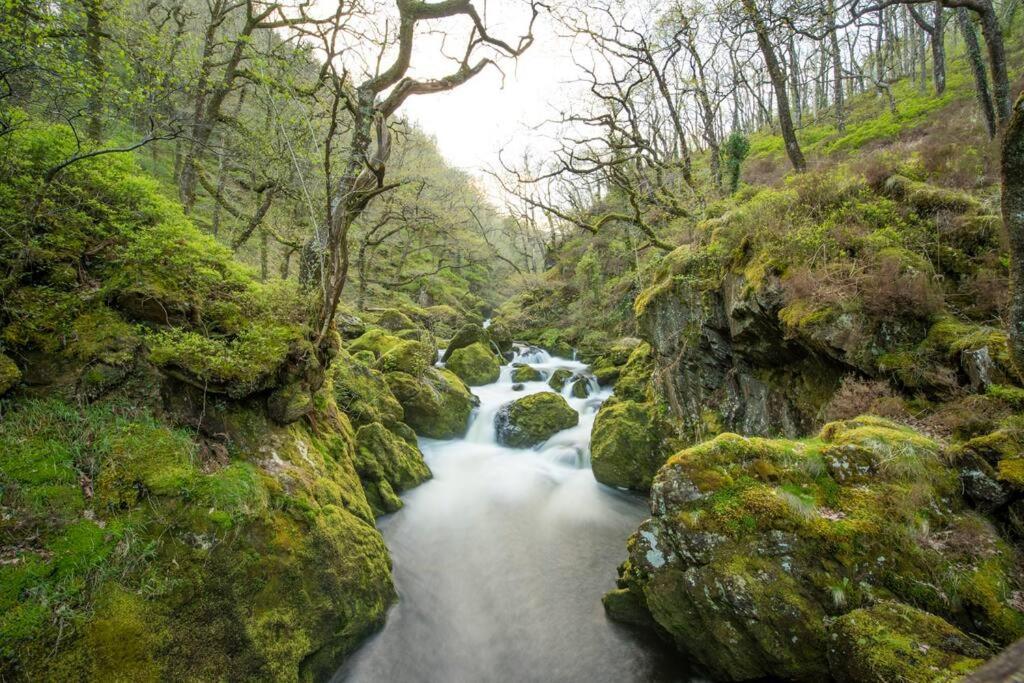 Charming Riverside Cottage In Snowdonia National Park Tanygrisiau Extérieur photo
